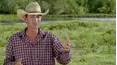 The Cowboy Way