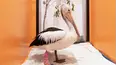 Wildlife ER