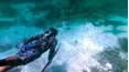 Life on the Water