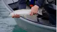 Life on the Water