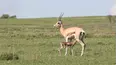 Wonders of Nature