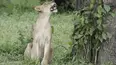 Wonders of Nature