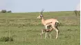 Wonders of Nature
