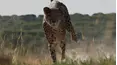 Obreros de la naturaleza