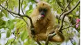 Wild Argentina: Extreme Earth