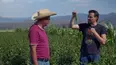 La ruta del chile