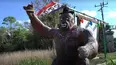 Bigfoot Beyond the Trail