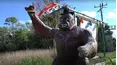 Bigfoot Beyond the Trail