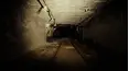 Haunted Discoveries
