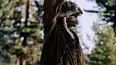 The Tall Tales of Jim Bridger