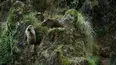 Guerreros salvajes