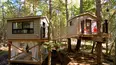 Backyard Builds