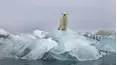 Facing Forces of Nature