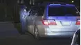 Live PD: Greatest Shifts