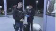 Live PD: Greatest Shifts