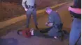 Live PD: Greatest Shifts