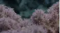 Secrets of the Enchanted Waters
