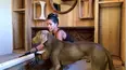 Living to DIY With Rachel Metz