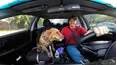 The Daisy and Poppy Collections: Puppy Learns to Swim for the First Time