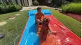 The Daisy and Poppy Collections: Puppy Learns to Swim for the First Time