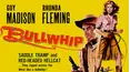 Bullwhip