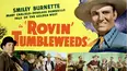 Rovin' Tumbleweeds