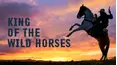 King of the Wild Horses