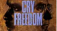 Cry Freedom