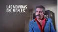 Las movidas del Mofles