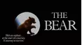The Bear