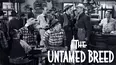 The Untamed Breed