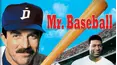 Mr. Baseball