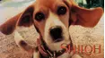 Shiloh