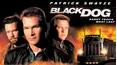 Black Dog
