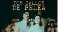 Dos gallos de pelea