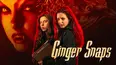 Ginger Snaps