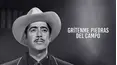 ¡Grítenme piedras del campo!