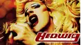 Hedwig