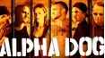 Alpha Dog