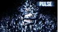 Pulse