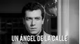 Un ángel de la calle
