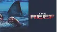The Reef