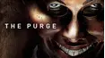 The Purge