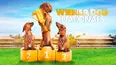 Wiener Dog Nationals