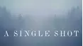 A Single Shot