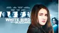 White Bird in a Blizzard