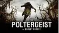 The Poltergeist of Borley Forest