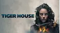 Tiger House