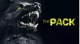 The Pack