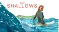 The Shallows